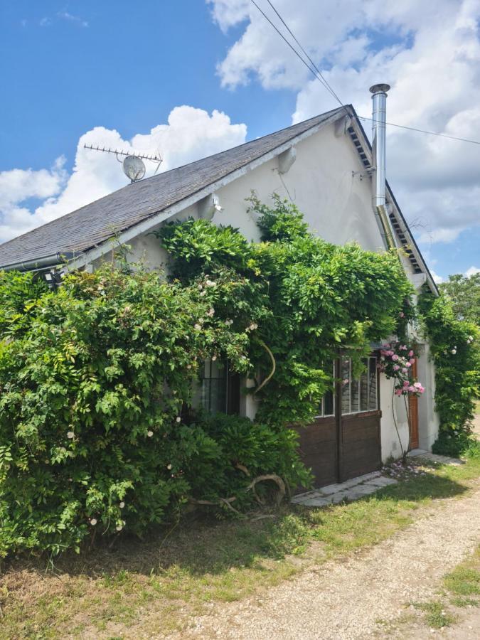 "Gite Les Glycines" Linge Inclus Proche Centre-Ville Blois Dış mekan fotoğraf